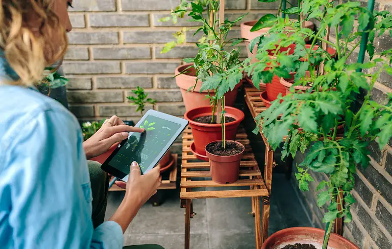 Top 5 Plant Identification Apps - thekeyfact